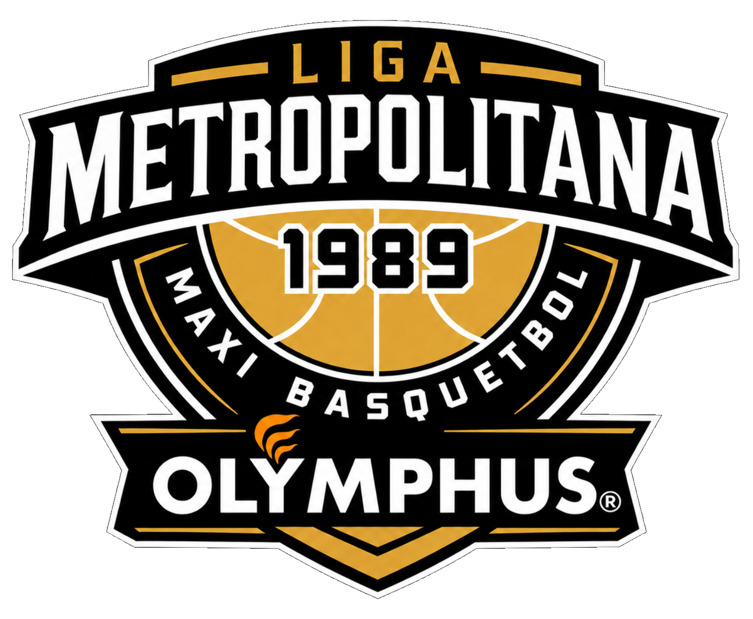 Liga Metropolitana Maxibásquetbol